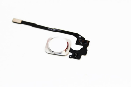 Детальная картинка Шлейф iPhone 5S/SE на кнопку HOME в сборе Белый от магазина NBS Parts